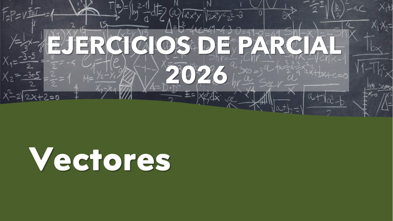 ej. parcial 2026 - vectores